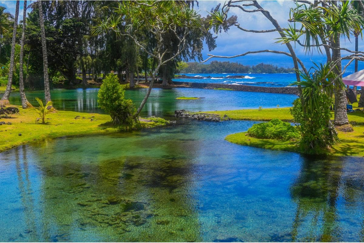 Richardson Ocean Park