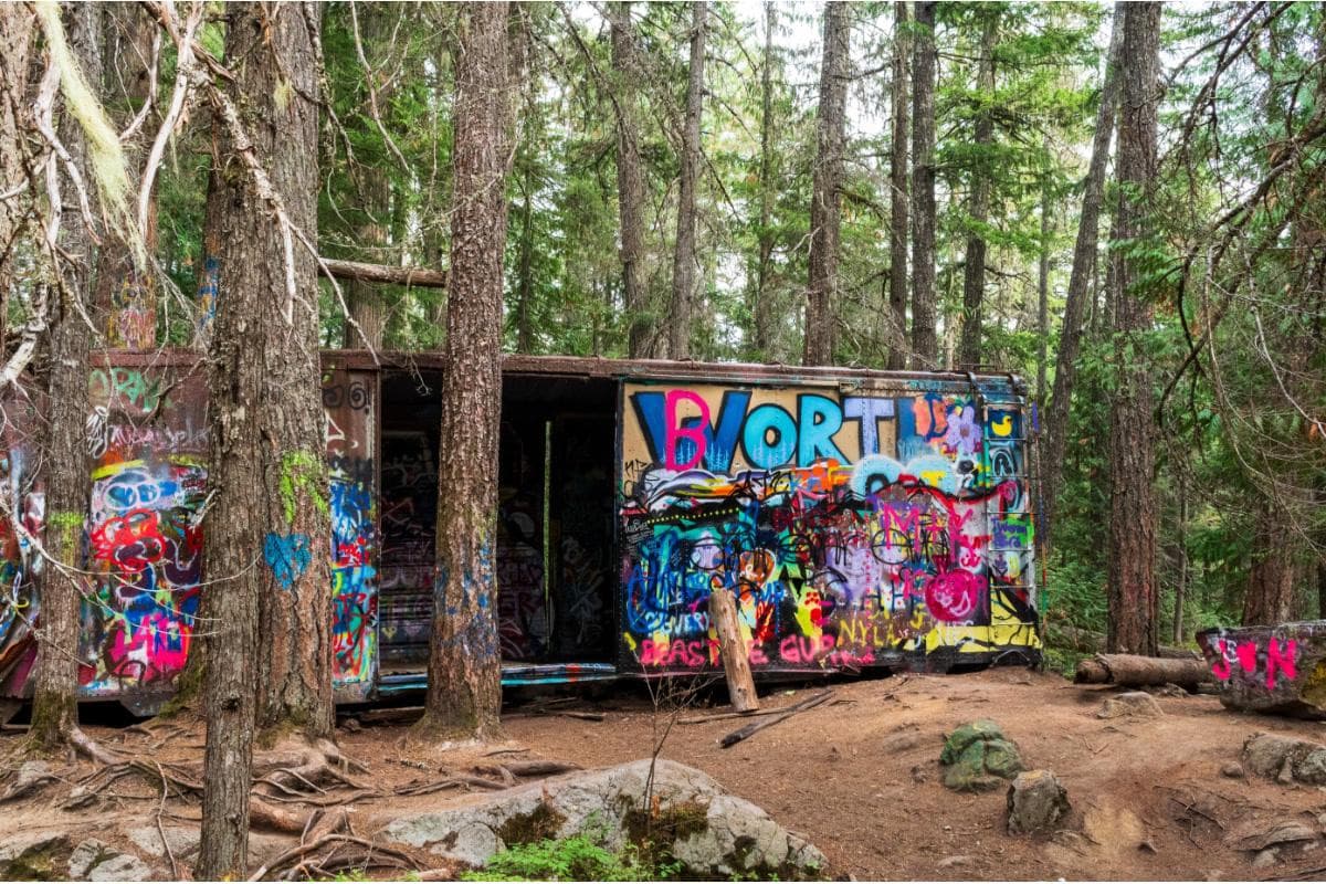 Whistler Train Wreck