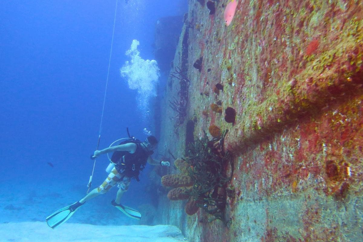 Felipe Xicotencatl Shipwreck