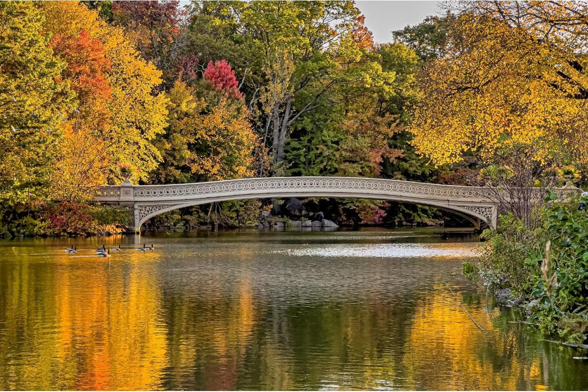 Bow Bridge