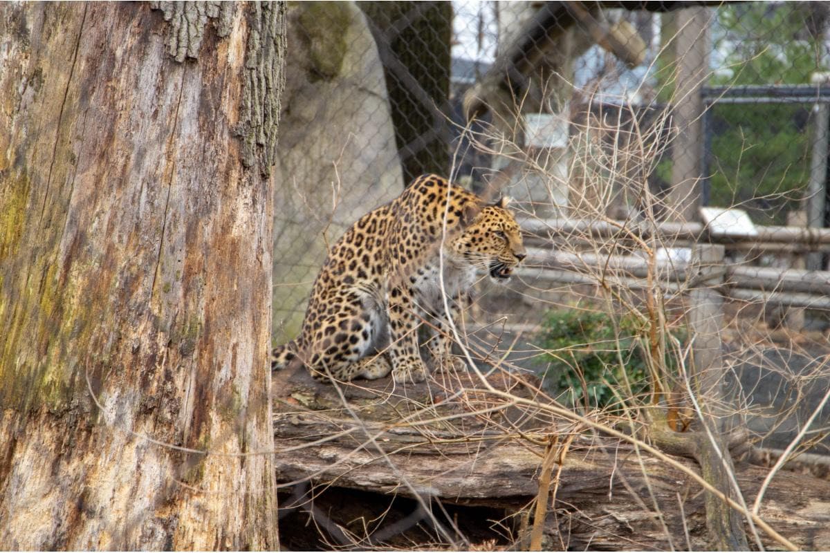 Staten Island Zoo