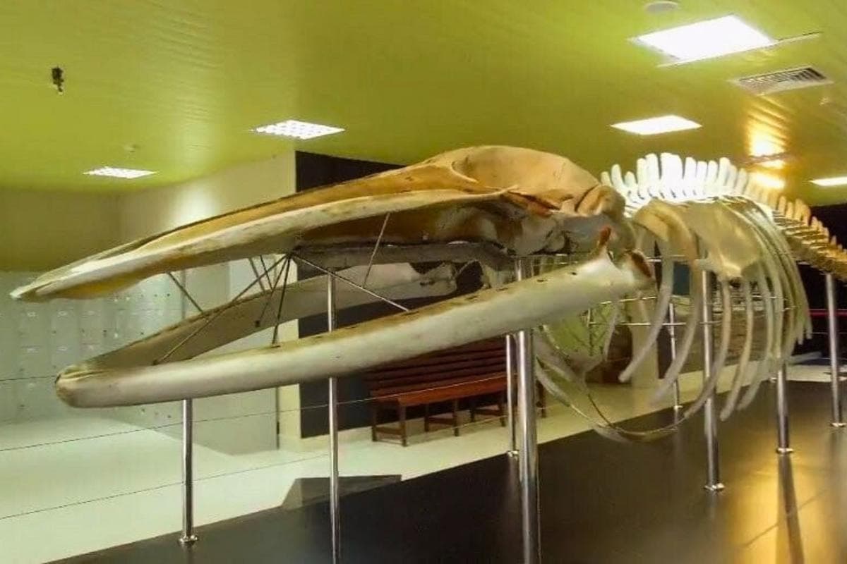 Malay Technology Museum