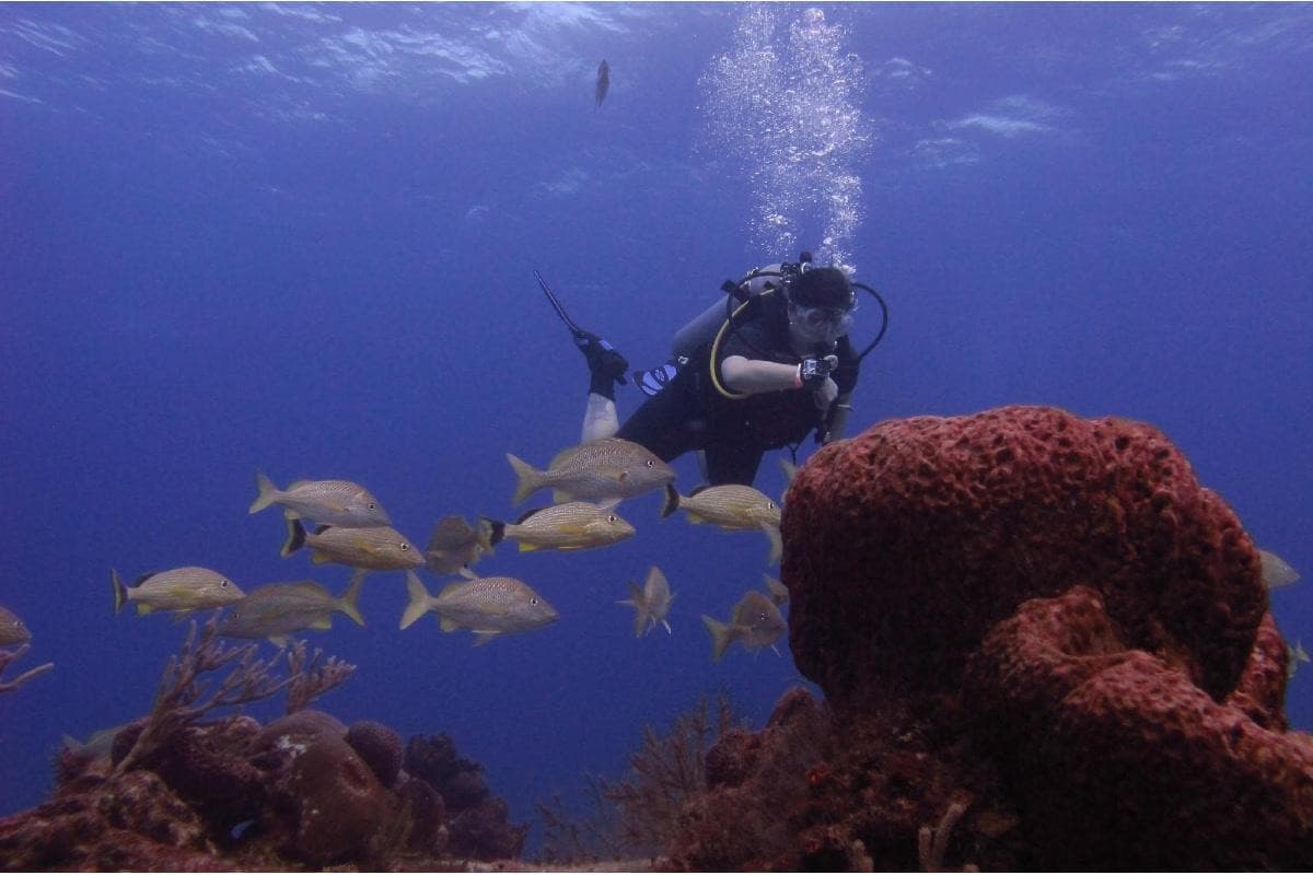 Yucab Reef