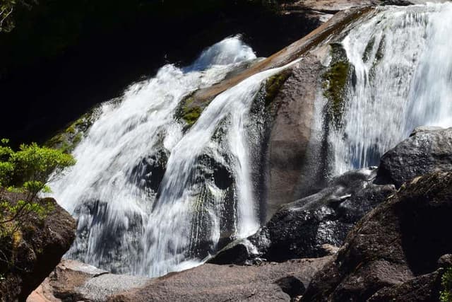 Puerto Blest & Cantaros Waterfall Day Trip