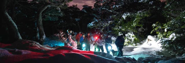 Martial Glacier Night Trekking & Skiing