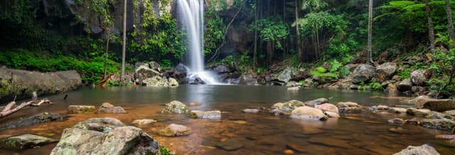 Tamborine National Park Day Trip