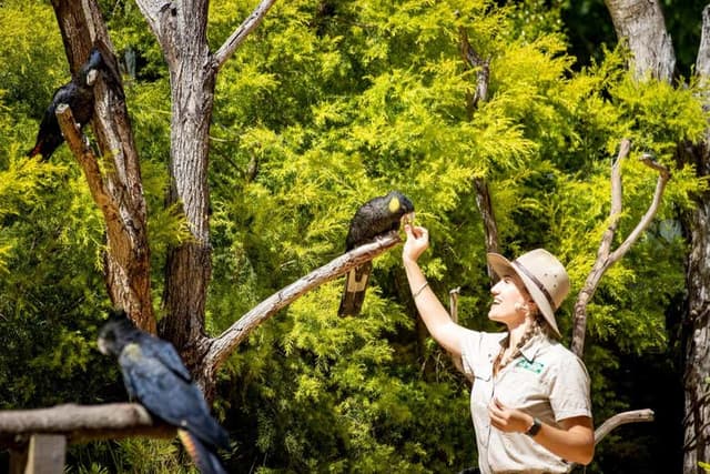 Currumbin Wildlife Sanctuary Ticket
