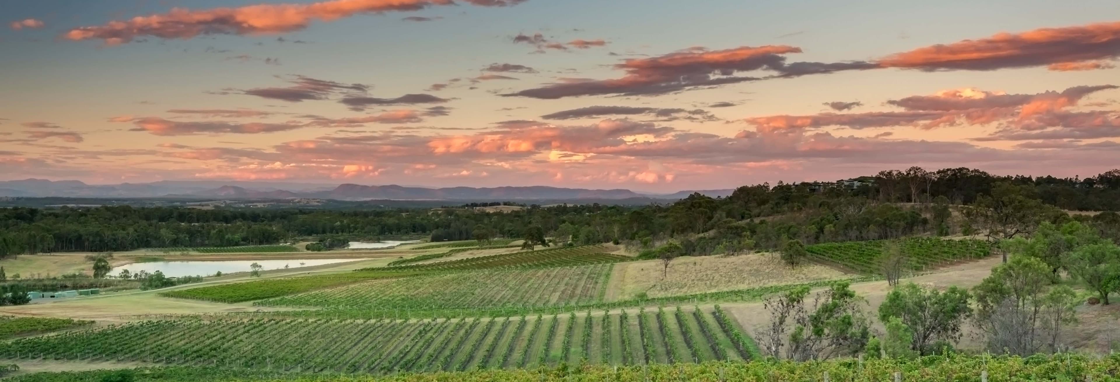 Hunter Valley Wine Tour in Newcastle: Tasting Day
