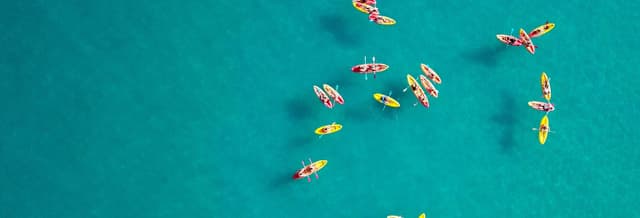 Dolphin View Kayak Tour
