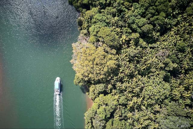 Bird Watching Cruise Tour