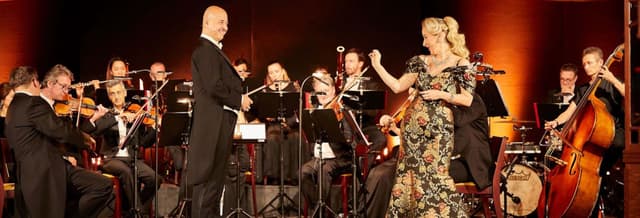 Johann Strauss Concert + Dinner in the Prater
