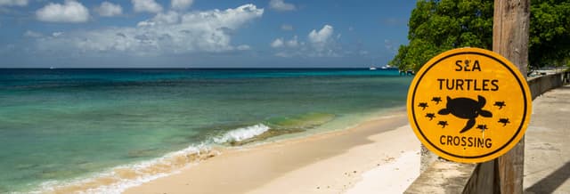 Speightstown Guided Tour
