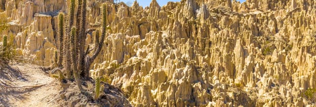 Valle de la Luna and Mount Chacaltaya Trip