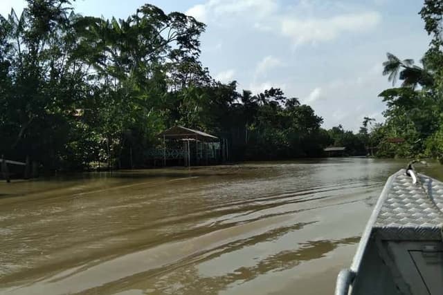 Combú Island Boat Ride