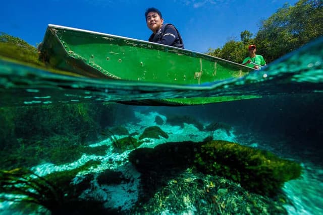 Sucuri River Boat Tour