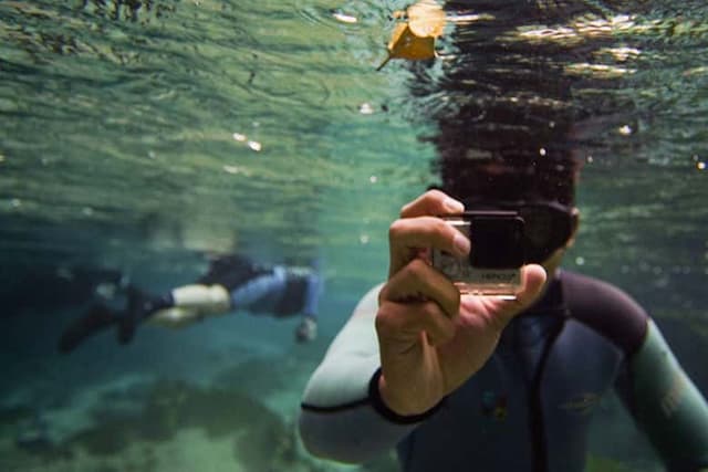 Sucuri River Snorkelling Tour