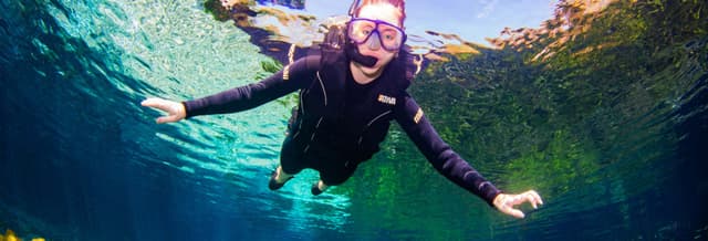 Sucuri River Snorkelling Tour