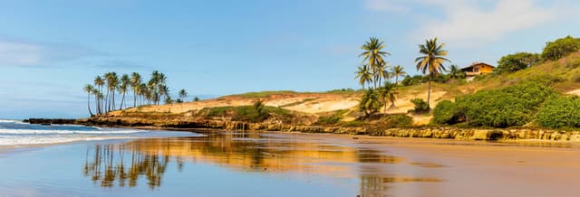 Lagoinha Beach Day Trip + 3 in 1 Adventure Tour