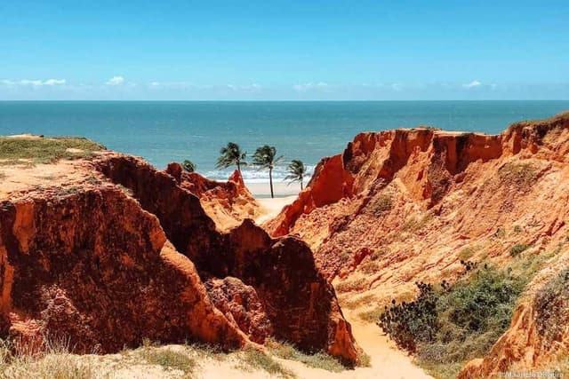 Morro Branco Beach Day Trip + Buggy Tour