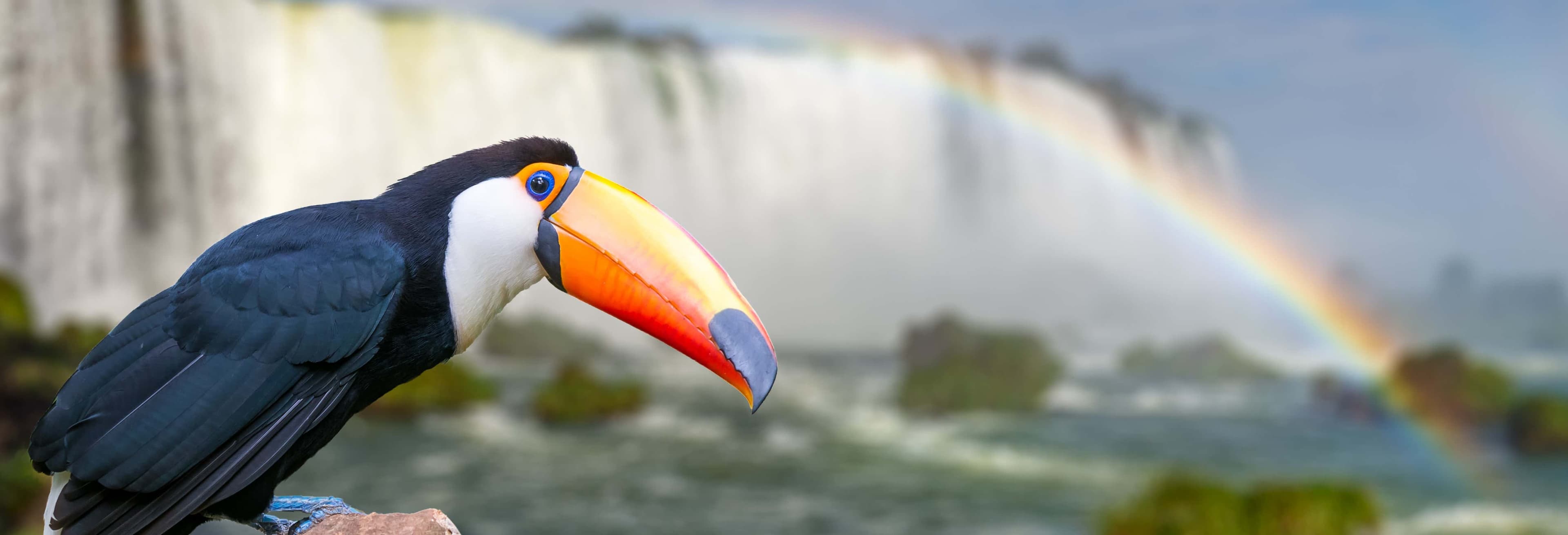 Compare Best Macuco Safari Tours