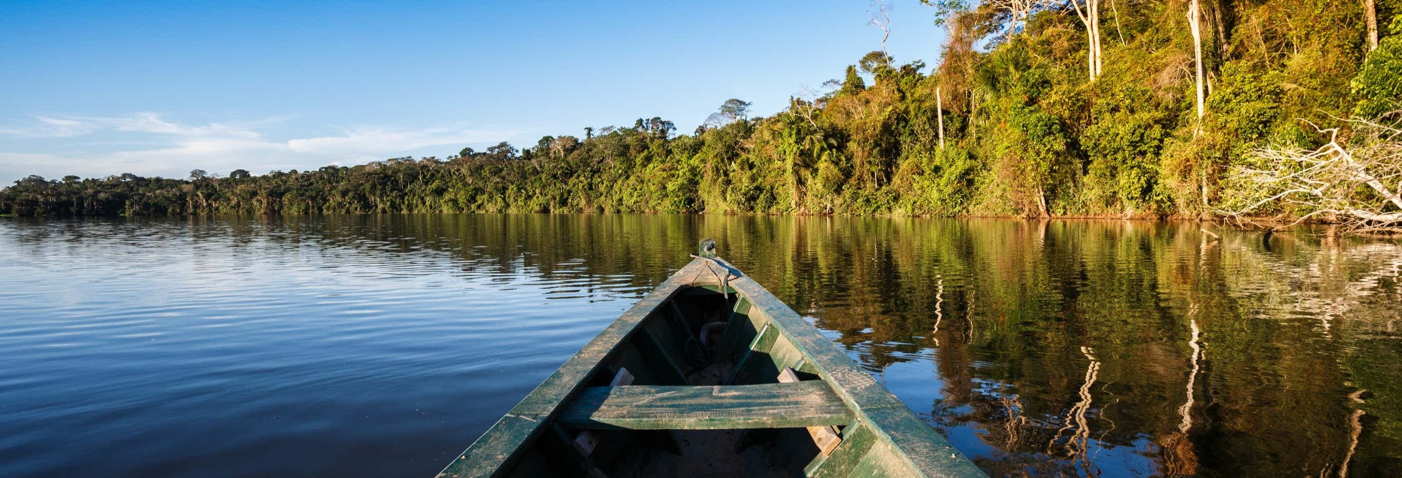 Manaus Amazon Rainforest Adventure & Wildlife Trips