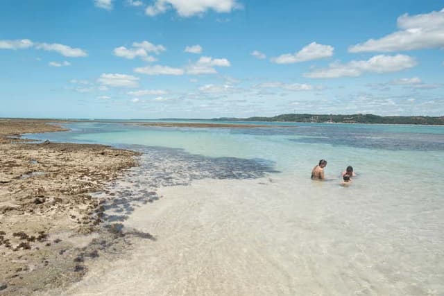 Japaratinga Natural Pools Boat Tour