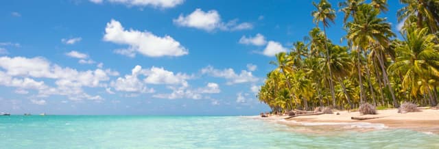 Maragogi Beach Day Trip