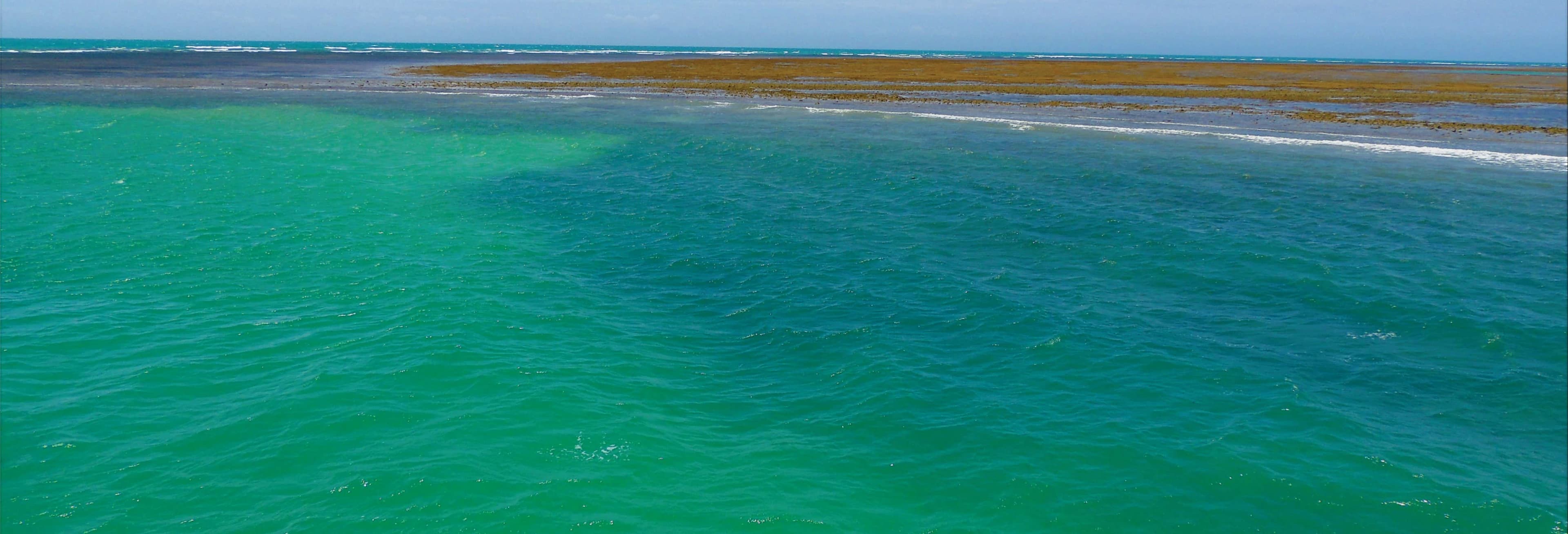 Best Recife de Fora Marine Park Snorkeling Adventure