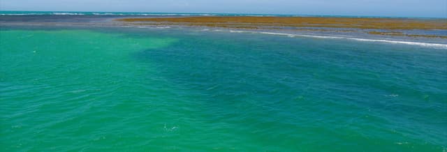 Recife de Fora Marine Park Day Trip