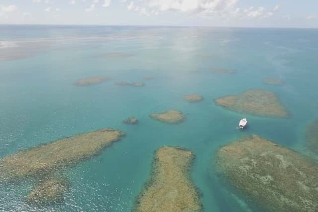 Recife de Fora Marine Park Day Trip