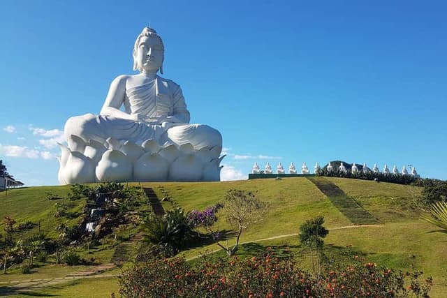 Ibiraçu Buddha Tour + Other Sights