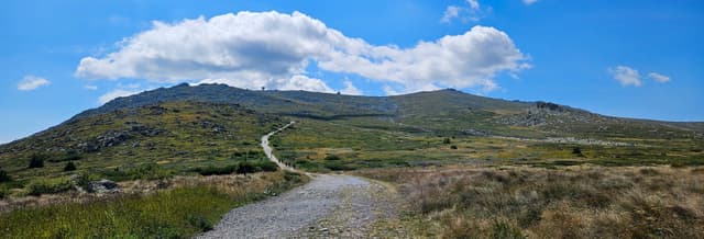 Vitosha Mountain & Boyana Waterfall Day Trip