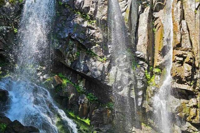 Vitosha Mountain & Boyana Waterfall Day Trip