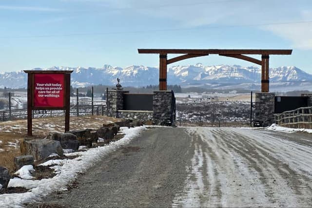 Yamnuska Wolfdog Sanctuary Day Trip Ending in Calgary