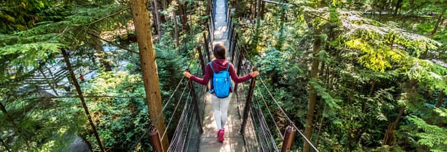 Grouse Mountain Day Trip