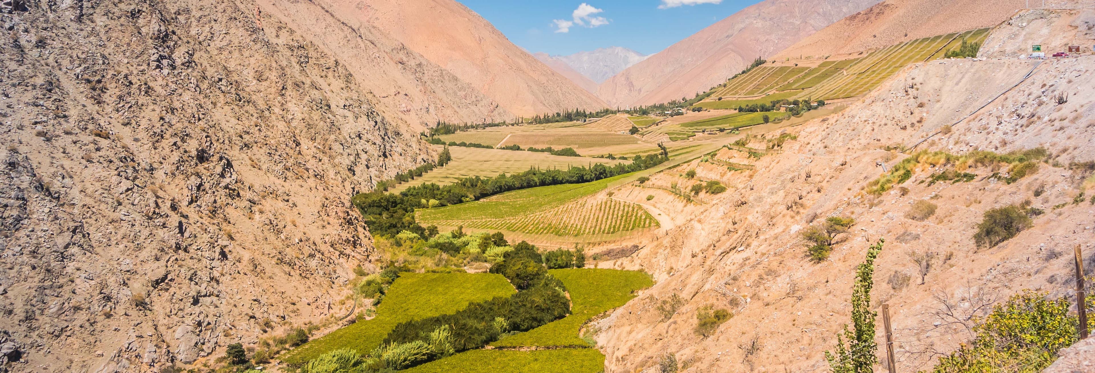 Elqui Valley Tour: Stars & Vineyards