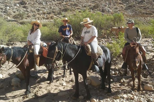 Cochiguaz Horseback Riding