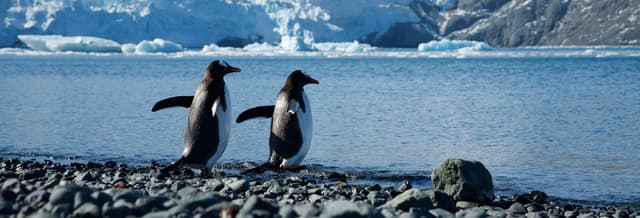 Antarctica Full Day Trip by Plane