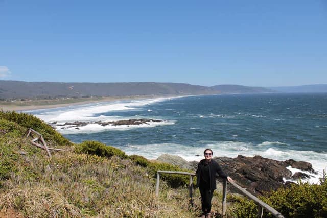 Punta Curiñanco Tour