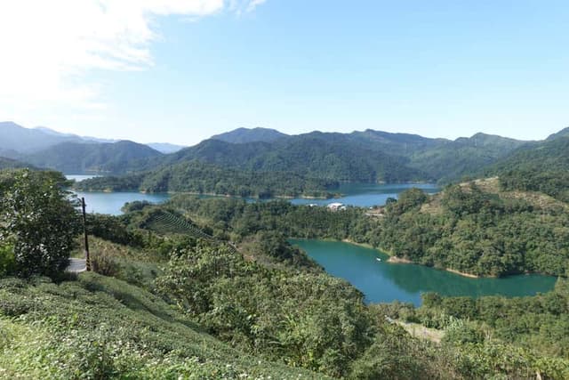 Pinglin & Elephant Mountain Tour