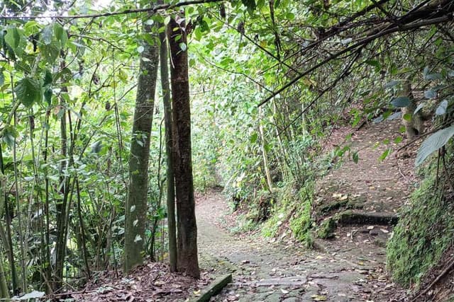 Parque de la Vida Free Tour