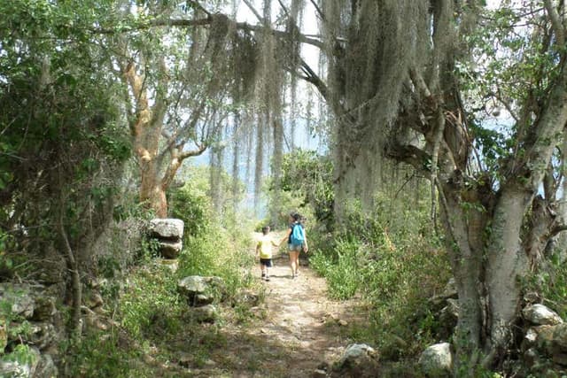 Hiking Tour: Camino Real to Guane