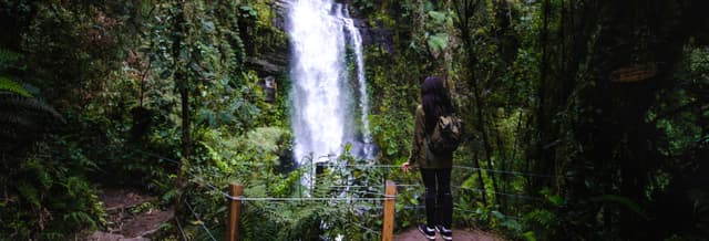 La Chorrera Waterfall Hike