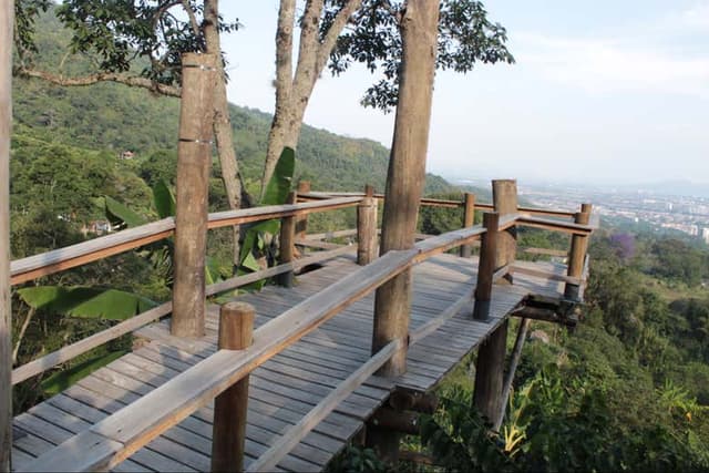 Day Trip to Meraki Park