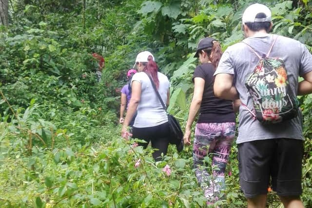 Hiking to Secret Waterfall