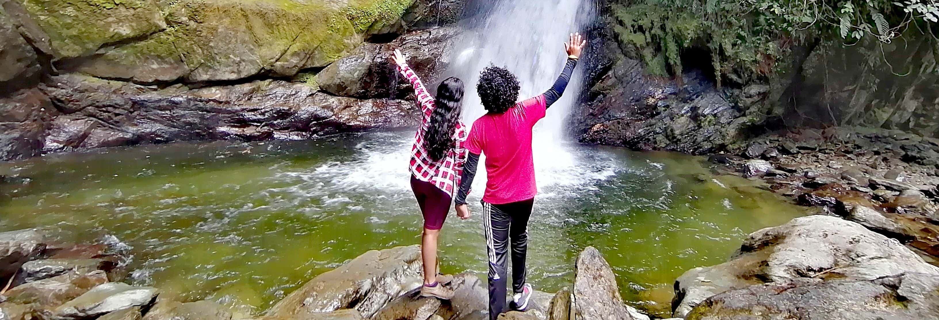 Explore Ibague's Hidden Gem: La Plata Waterfall Trek