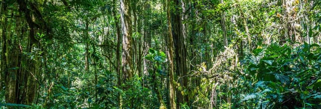 Entreaguas Natural Reserve Day Trip