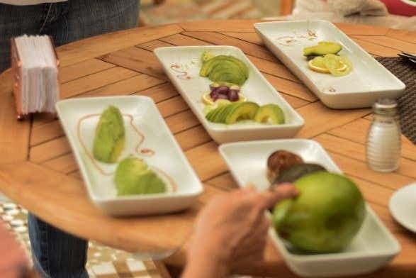 Manizales Avocado Tour
