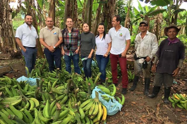 Pereira Excursion + Banana Farm Visit