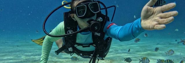 Beginners Scuba Diving in San Andrés